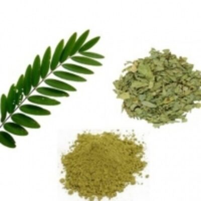 resources of Senna Extract exporters