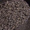 Arabica Beans, Coffee Beans Exporters, Wholesaler & Manufacturer | Globaltradeplaza.com