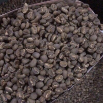 resources of Arabica Beans, Coffee Beans exporters