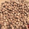 Whole Betel Nut Exporters, Wholesaler & Manufacturer | Globaltradeplaza.com
