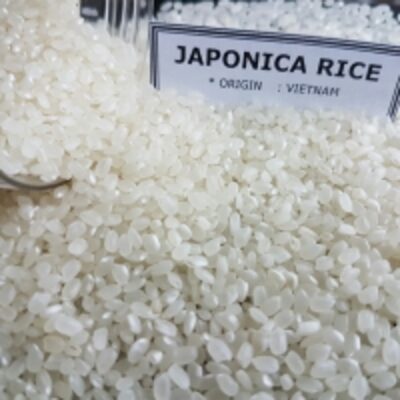 resources of Japonica White 5% Broken exporters
