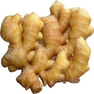 resources of Fresh Ginger Vietnam exporters