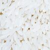 Jasmine White Rice, 5% Broken Exporters, Wholesaler & Manufacturer | Globaltradeplaza.com