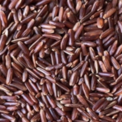 resources of Red Rice exporters