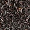 Black Rice Exporters, Wholesaler & Manufacturer | Globaltradeplaza.com
