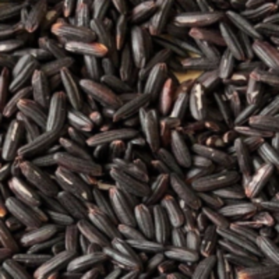 resources of Black Rice exporters