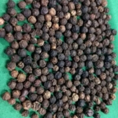 Black Pepper Asta Exporters, Wholesaler & Manufacturer | Globaltradeplaza.com