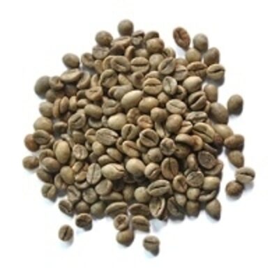 resources of Green Coffee Bean Robusta Fine Grade Natural P. exporters