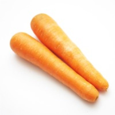 resources of Carrot exporters
