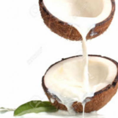 resources of Instant Coconut Powder exporters
