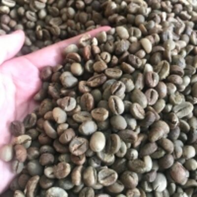 resources of Green Bean Coffee exporters