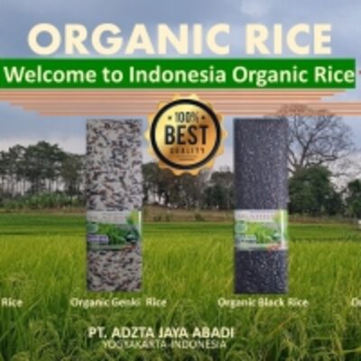 resources of Organic Rice exporters