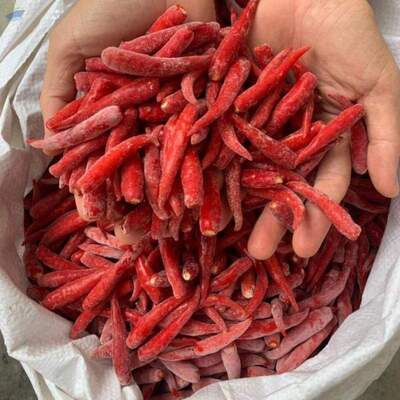 resources of Red Chilli exporters