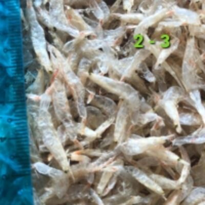 resources of Dried Baby Shrimp exporters