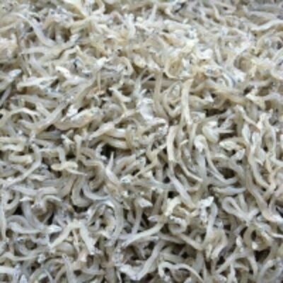 resources of Dried Anchovy exporters