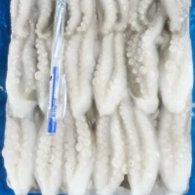 resources of Frozen Baby Octopus Cut exporters