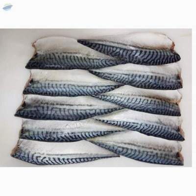 resources of Mackerel exporters
