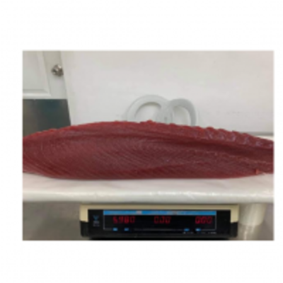 resources of Fresh Chilled Tuna Loins exporters