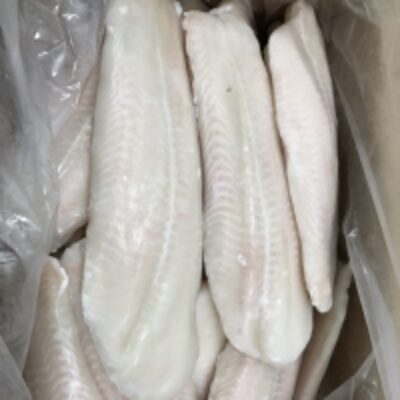 resources of Pangasius Fillet Well Trimmed exporters