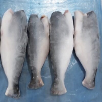 resources of Pangasius Whole Round/ Hgt exporters