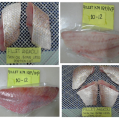 resources of Goldband Snapper exporters