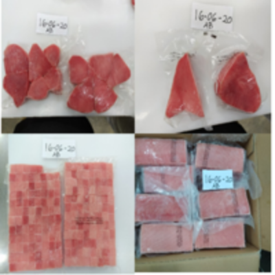 resources of Yellow Fin Tuna Fillet exporters