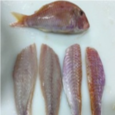 resources of Red Mullet exporters