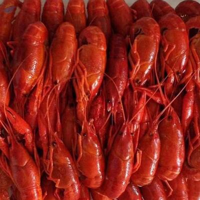 resources of Cooked Frozen Crayfish exporters