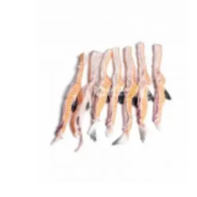 resources of Salmon Belly exporters