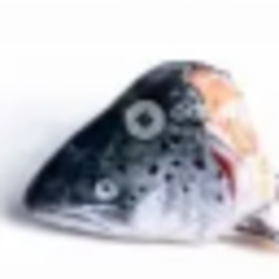 resources of Salmon Heads exporters