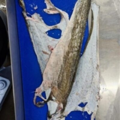 resources of Cod Skins exporters