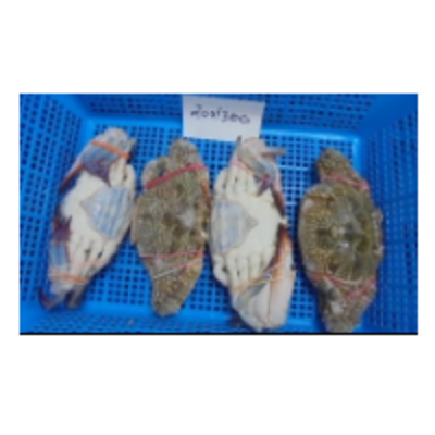 resources of Blue Swimming Crab exporters