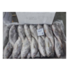 Silver Croaker Fish Exporters, Wholesaler & Manufacturer | Globaltradeplaza.com