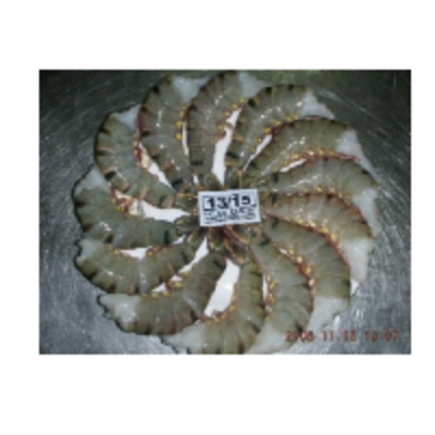 resources of Headless Black Tiger Shrimps exporters