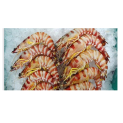 resources of Head-On Flower Shrimps exporters