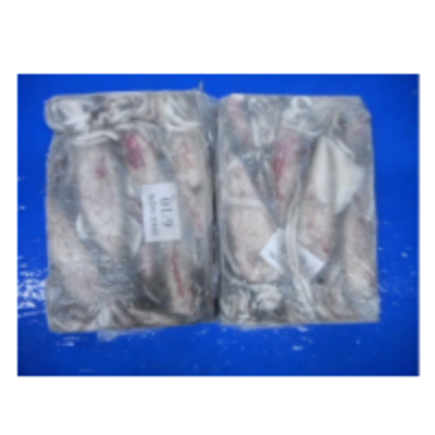 resources of Squid Whole exporters