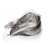 Ribbon Fish Exporters, Wholesaler & Manufacturer | Globaltradeplaza.com