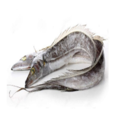 resources of Ribbon Fish exporters