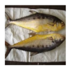 Queen Fish Exporters, Wholesaler & Manufacturer | Globaltradeplaza.com