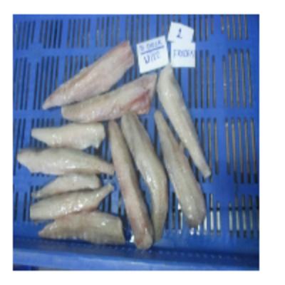 resources of Bombay Duck Fish exporters