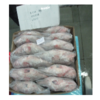 Reefcod Fish Exporters, Wholesaler & Manufacturer | Globaltradeplaza.com
