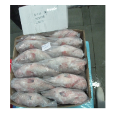resources of Reefcod Fish exporters