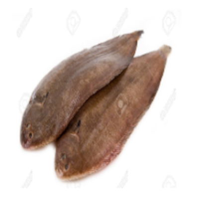 resources of Sole Fish exporters