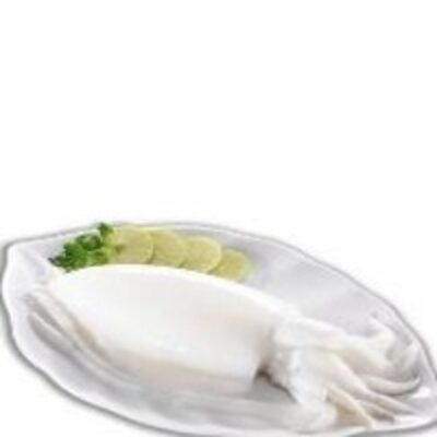 resources of Cuttlefish Whole Clean exporters