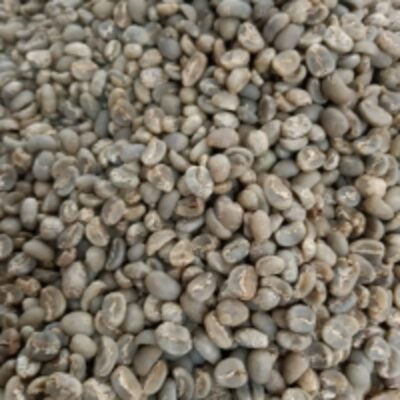 resources of Robusta Green Coffee Bean exporters