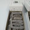 Frozen Softshell Crab Exporters, Wholesaler & Manufacturer | Globaltradeplaza.com