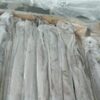 Frozen Ribbon Fish Exporters, Wholesaler & Manufacturer | Globaltradeplaza.com