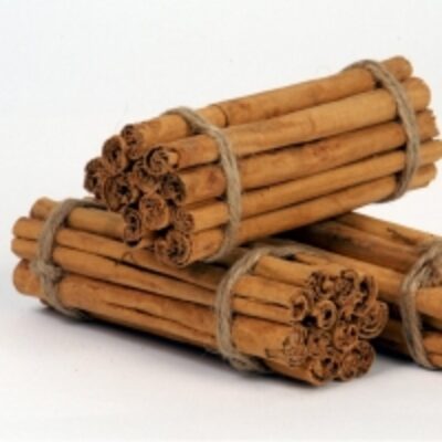 resources of Ceylon Cinnamon exporters