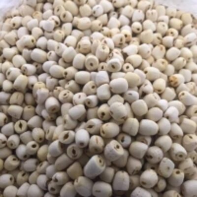 resources of Lotus Seeds exporters