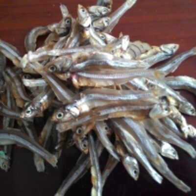 resources of Dried Anchovy Fish exporters